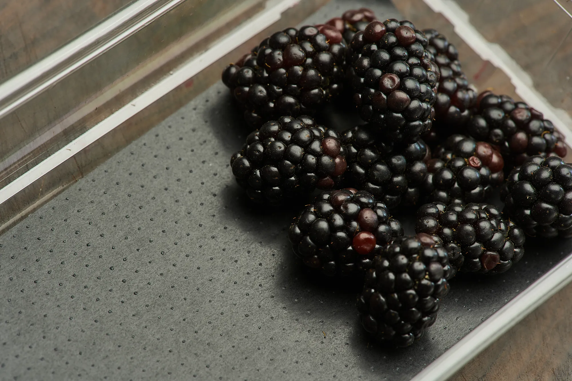 Fruit Pads